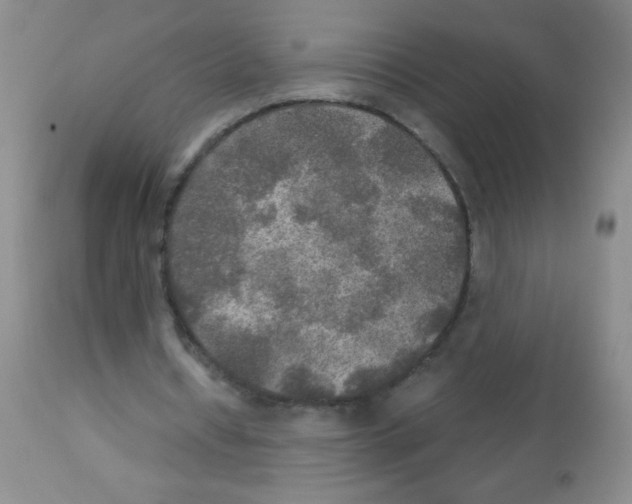 X0000113220434200910221128