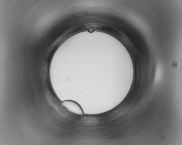 X0000113220435200910221128