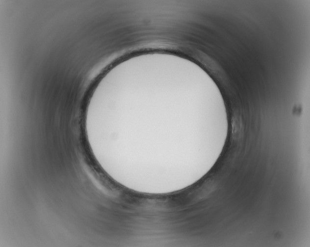 X0000113220436200910221128
