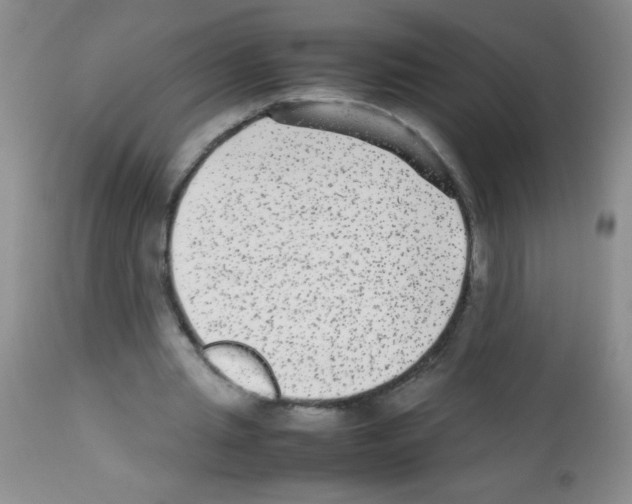 X0000113220437200910221128