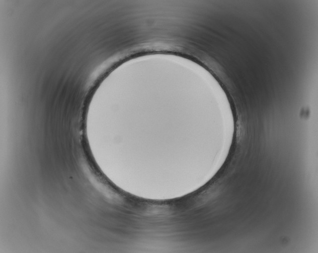 X0000113220438200910221128