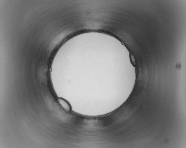 X0000113220440200910221128