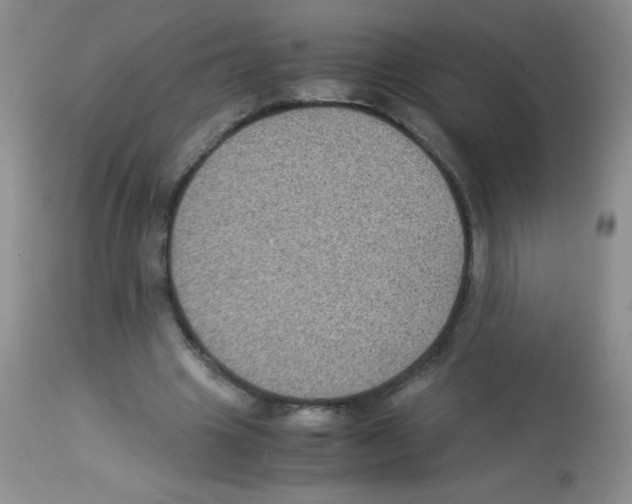 X0000113220441200910221128