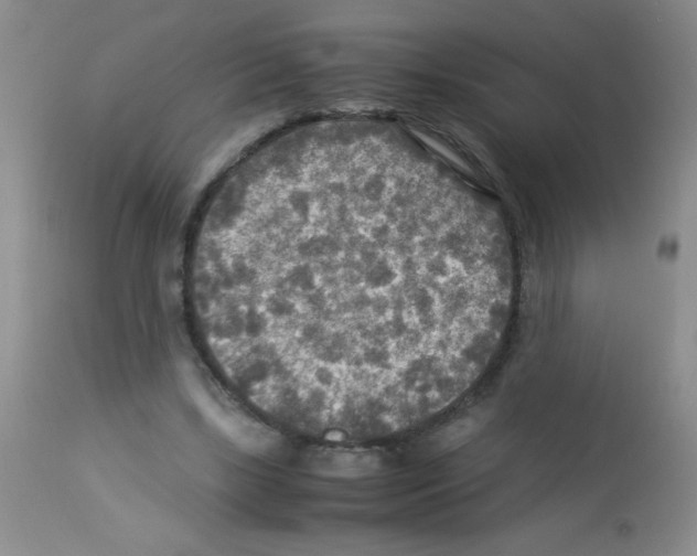 X0000113220443200910221128