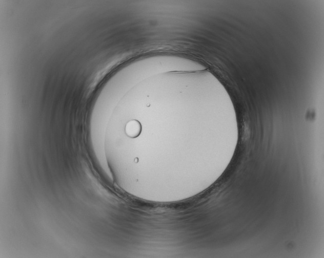 X0000113220444200910221128