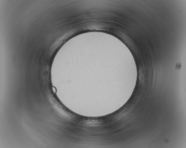 X0000113220445200910221128