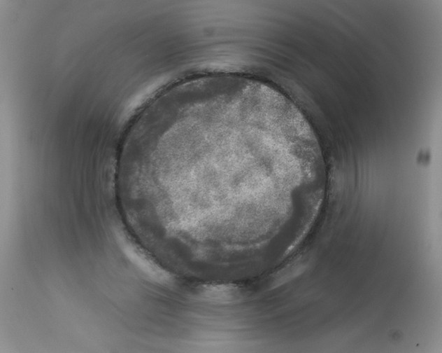 X0000113220446200910221128