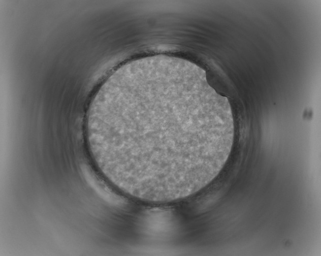 X0000113220447200910221128