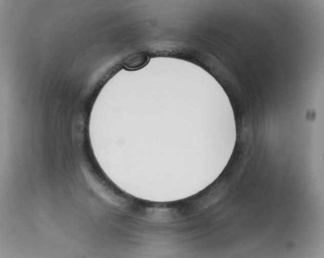 X0000113220448200910221128