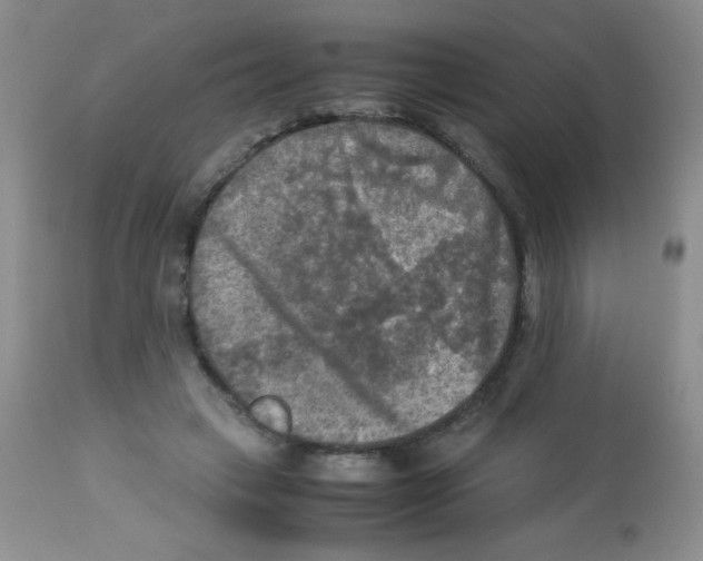 X0000113220449200910221128