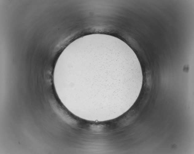 X0000113220450200910221128