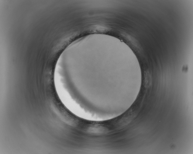 X0000113220451200910221128