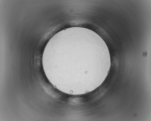 X0000113220452200910221128