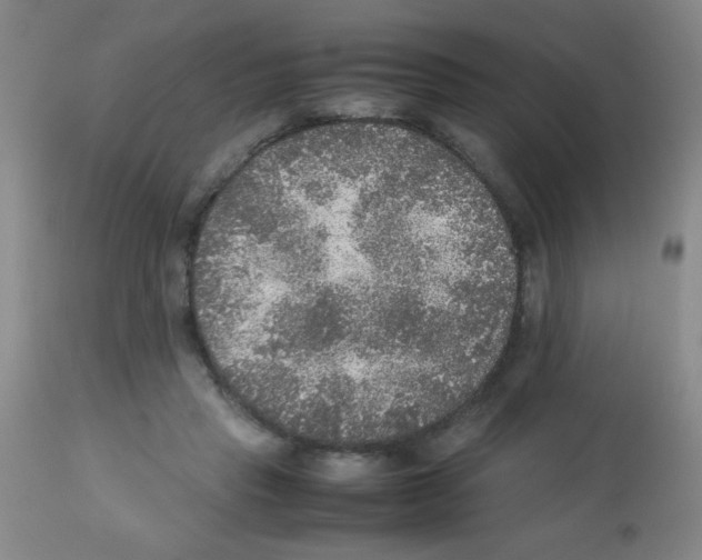 X0000113220453200910221128