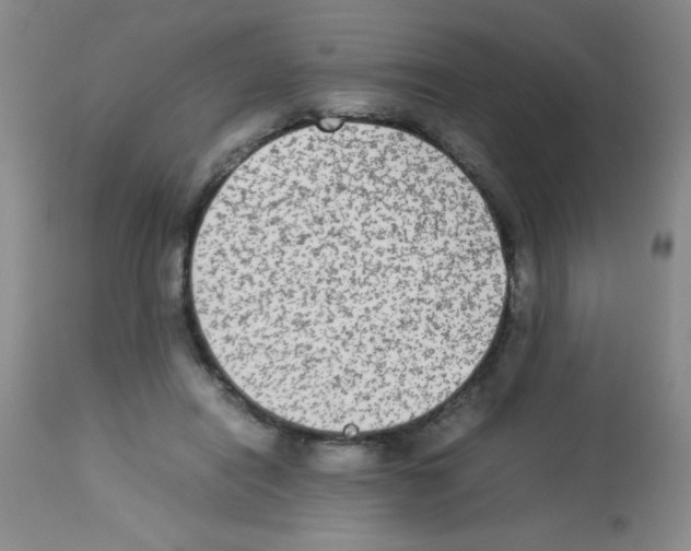 X0000113220454200910221128