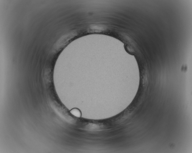 X0000113220455200910221128