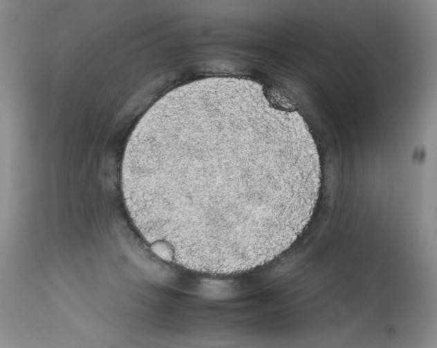 X0000113220457200910221128