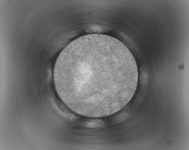 X0000113220459200910221128