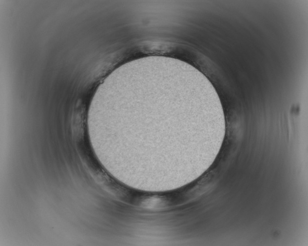 X0000113220460200910221128