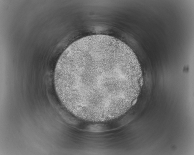 X0000113220461200910221128