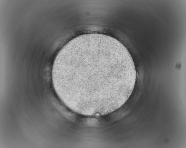 X0000113220462200910221128