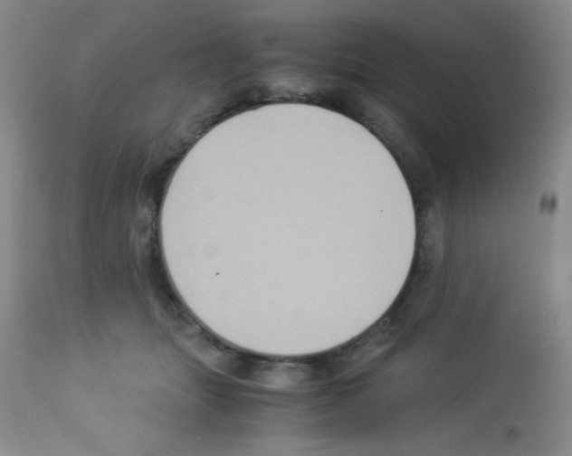 X0000113220463200910221128