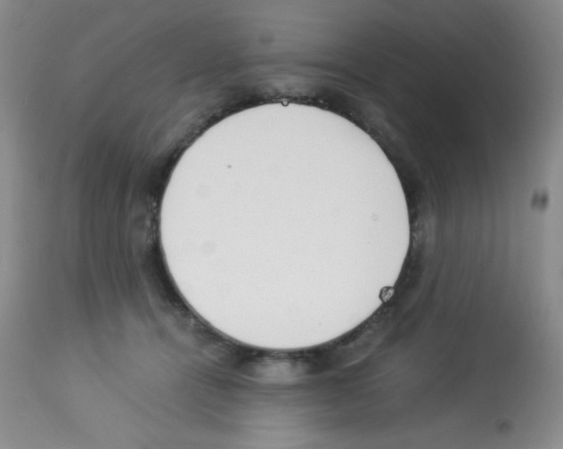 X0000113220464200910221128