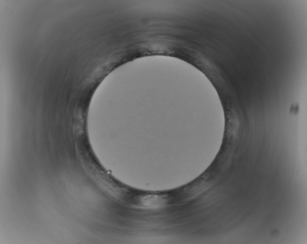X0000113220465200910221128