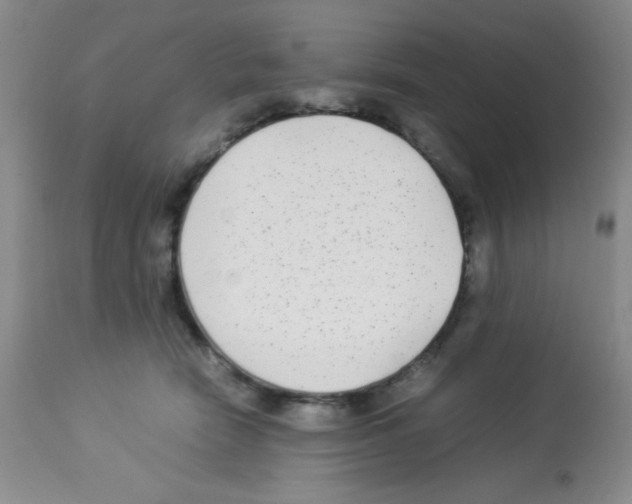 X0000113220466200910221128