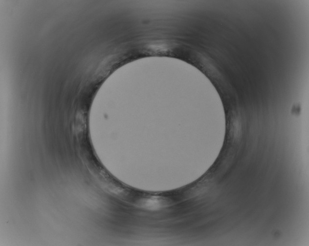 X0000113220467200910221128