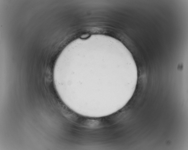 X0000113220469200910221128