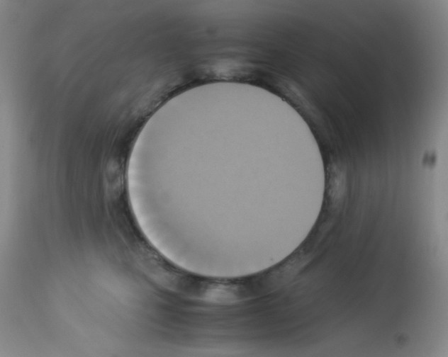 X0000113220471200910221128