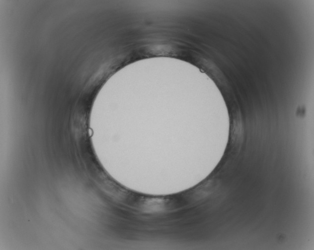 X0000113220473200910221128
