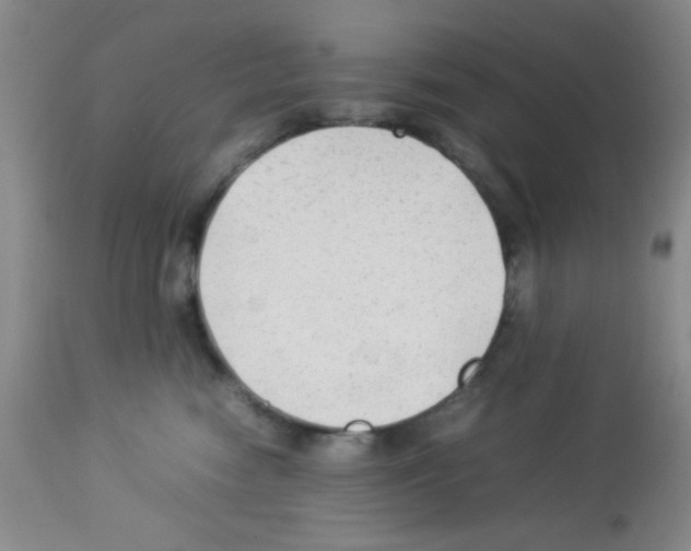 X0000113220474200910221128