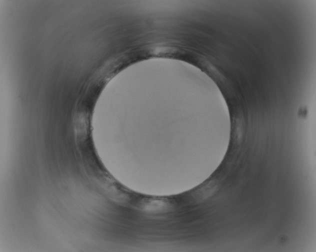 X0000113220475200910221128