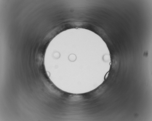 X0000113220476200910221129