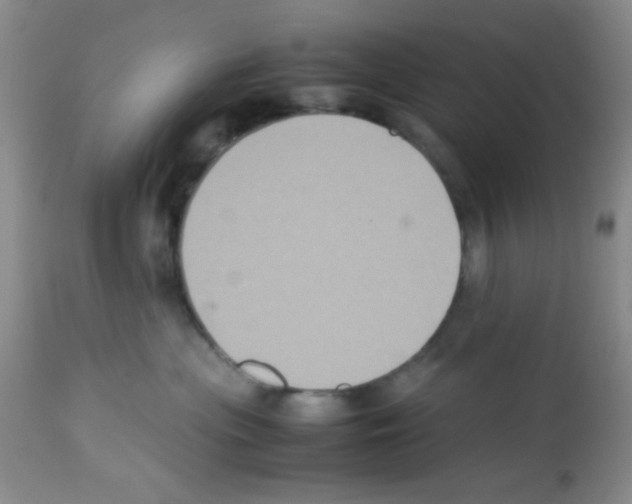 X0000113220477200910221129
