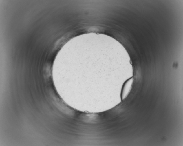X0000113220478200910221129