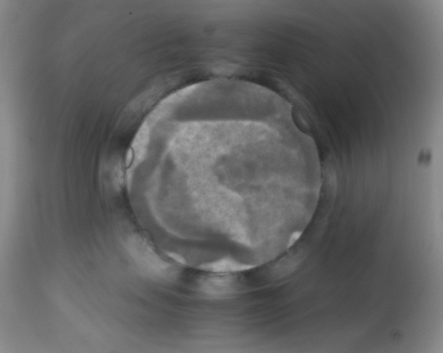 X0000113220479200910221129