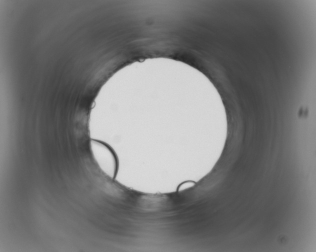 X0000113220480200910221129