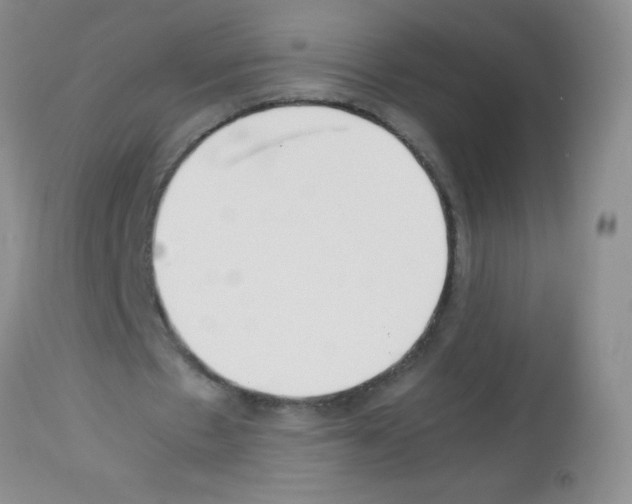 X0000113220481200910221128