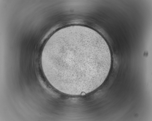 X0000113220482200910221128