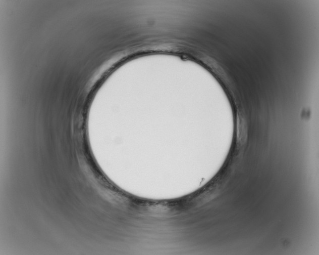 X0000113220483200910221128