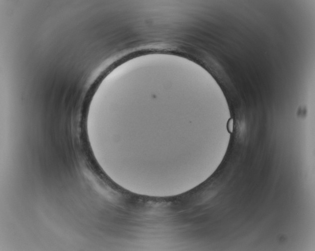X0000113220484200910221128