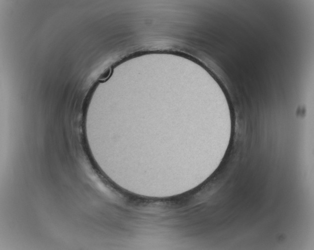 X0000113220485200910221128