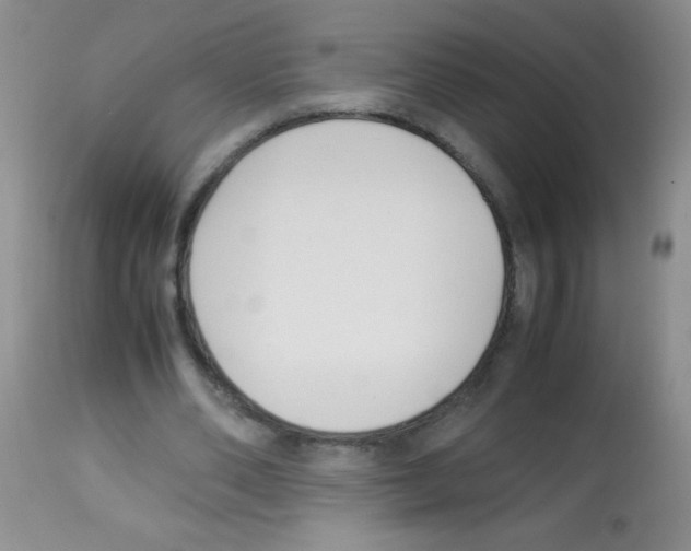 X0000113220486200910221128