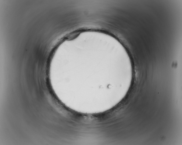 X0000113220487200910221128