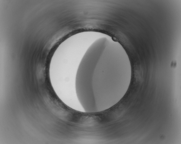 X0000113220488200910221128