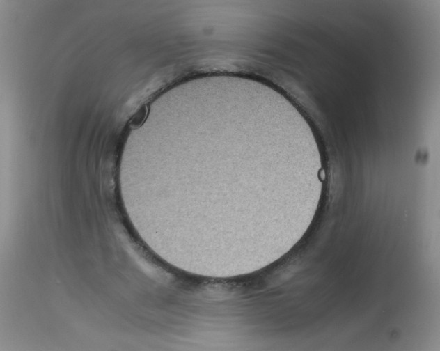 X0000113220489200910221128