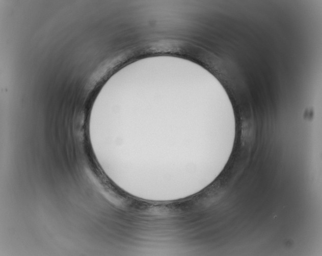 X0000113220490200910221128